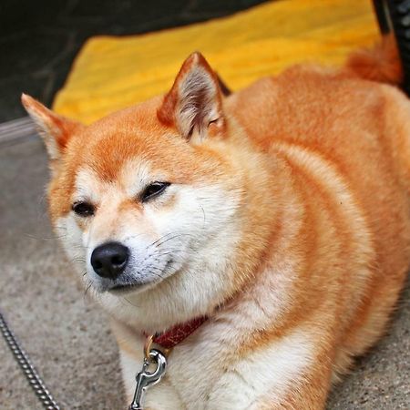 호운칸 호텔 요시노 외부 사진
